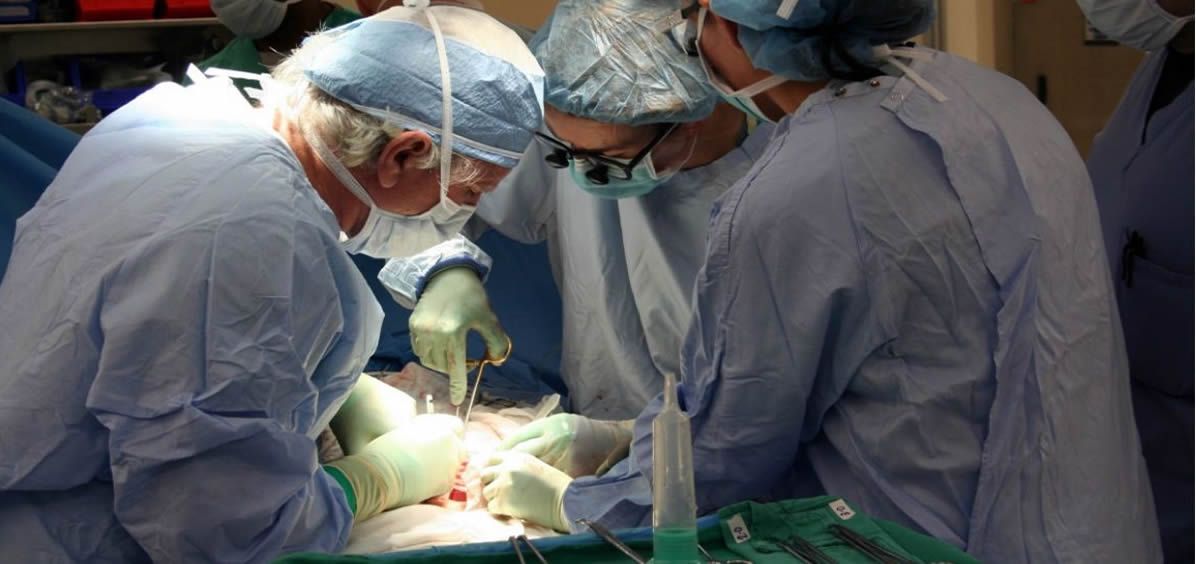Fallece una mujer después de recibir un trasplante de pulmones contagiados de Covid