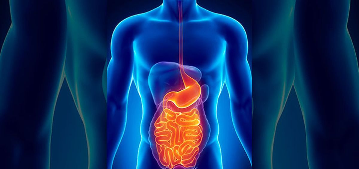 Punto de Encuentro Gastroenterología ha estado dirigida a médicos especialistas en aparato digestivo y a residentes en formación de la misma especialidad
