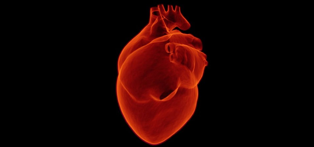 La insuficiencia cardiaca y la muerte súbita son las dos principales causas de muerte cardiovascular en adultos con cardiopatía congénita