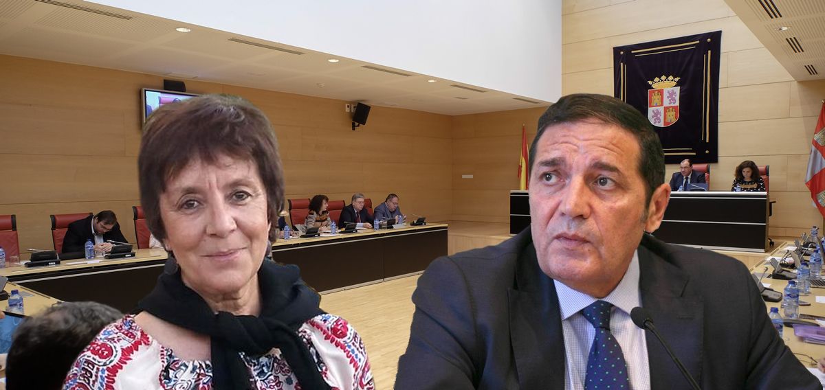 Mercedes Martín, portavoz de Sanidad del PSOE en Castilla y León, critica la comparecencia de Sáez Aguado en la Comisión.