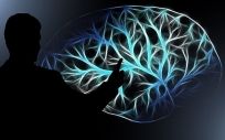 El párkinson es la segunda enfermedad neurodegenerativa más frecuente después del Alzheimer