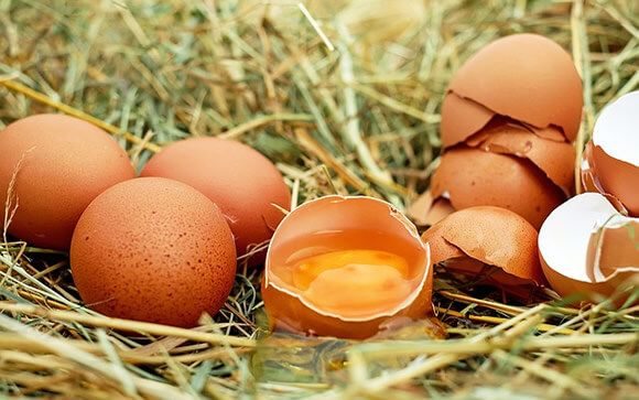 El consumo de un huevo diario no está asociado con un riesgo elevado de demencia
