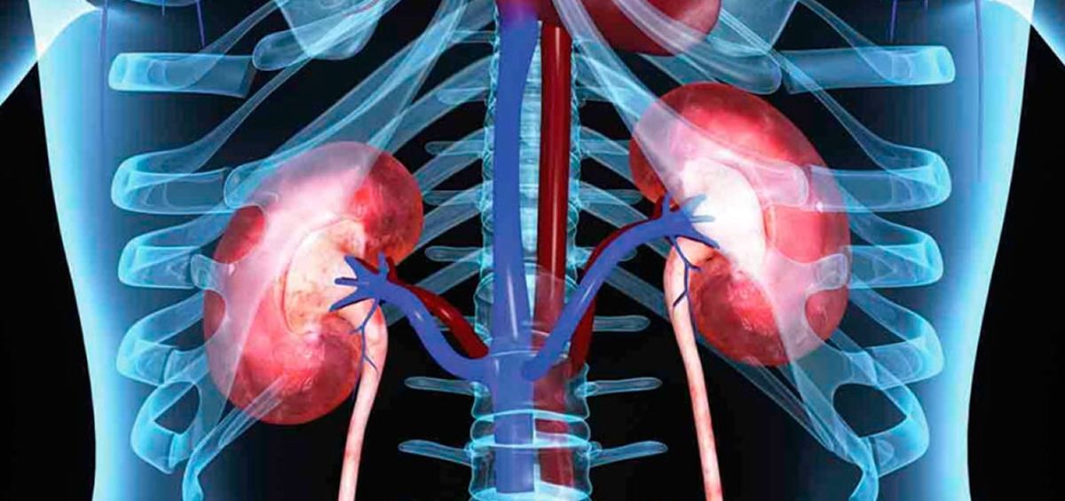 La presencia de enfermedad renal crónica se asocia con una alta incidencia de eventos cardiovasculares.