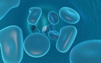 El hidrogel promueve el crecimiento celular incluso sin incluir fármacos