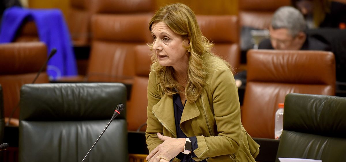 La consejera de Salud, Marina Álvarez, en una intervención en el Parlamento de Andalucía