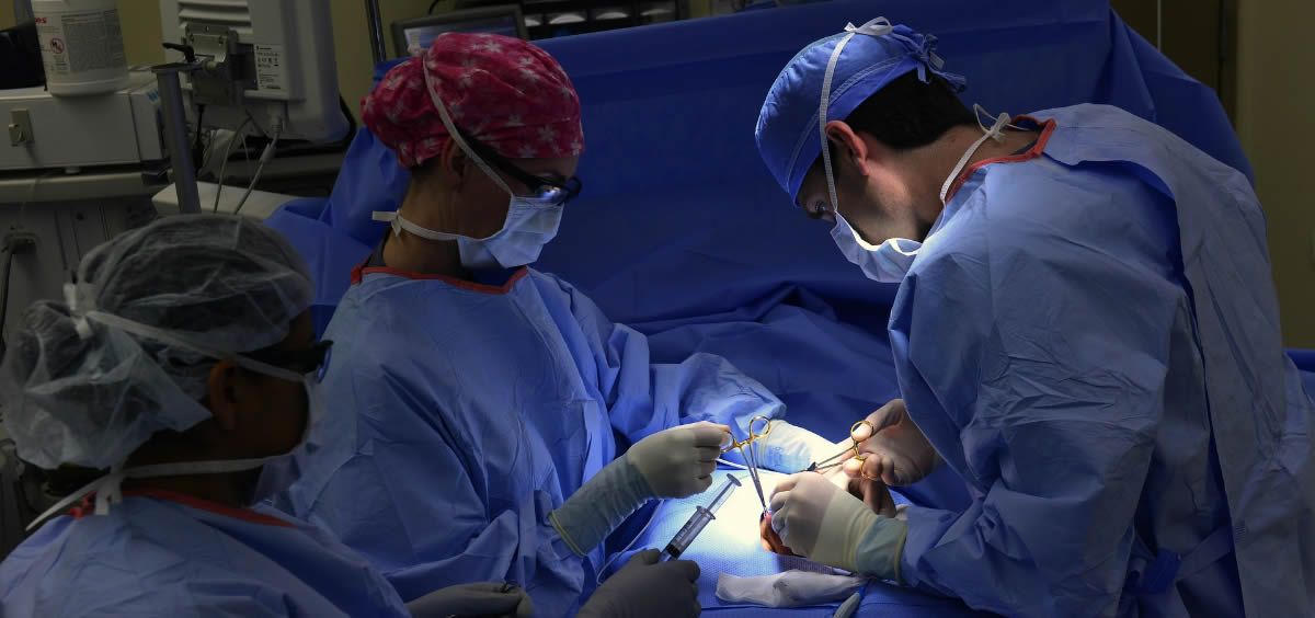 El modelo hepático en 3D permite a los cirujanos desarrollar la estrategia quirúrgica más adecuada para cada paciente