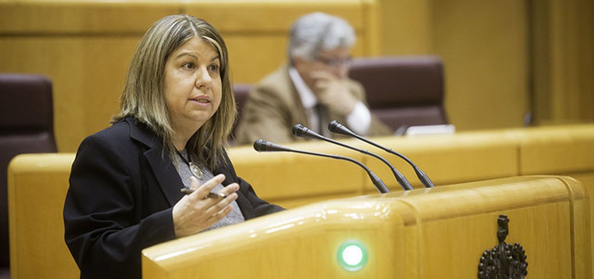 Kontxi Palencia, senadora de Unidos Podemos por Álava. Foto: Irene Lingua