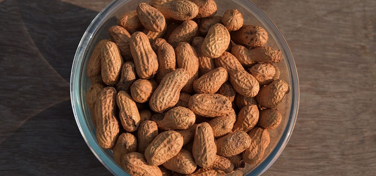 La investigación pretende combatir los síntomas de la reacción alérgica a los cacahuetes