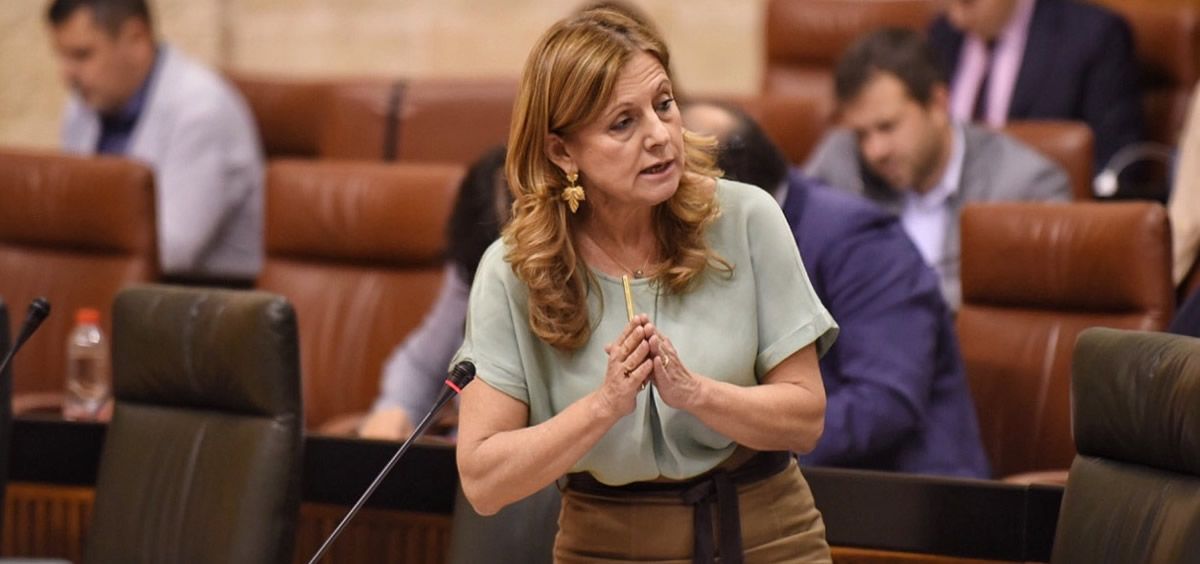 La consejera de Andalucía, Marina Álvarez, afirma que la medida ayuda a seguir garantizando una “sanidad pública, universal y equitativa”