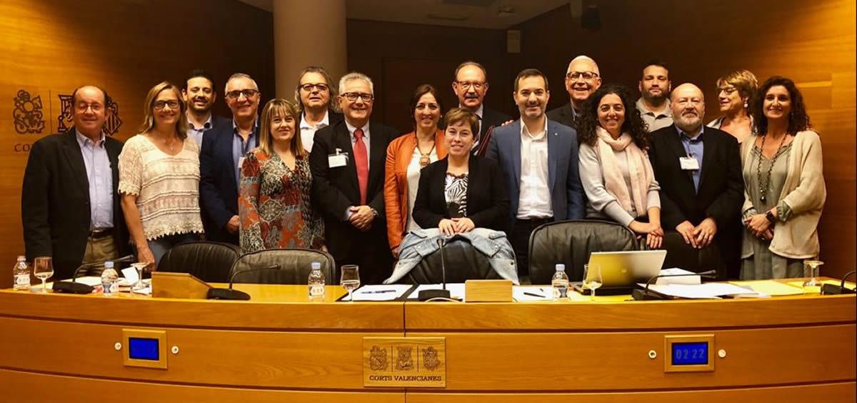 Los representantes de los partidos políticos, reunidos en las Cortes Valencianas para mostrar su apoyo a la Academia de Enfermería de la Comunidad Valenciana