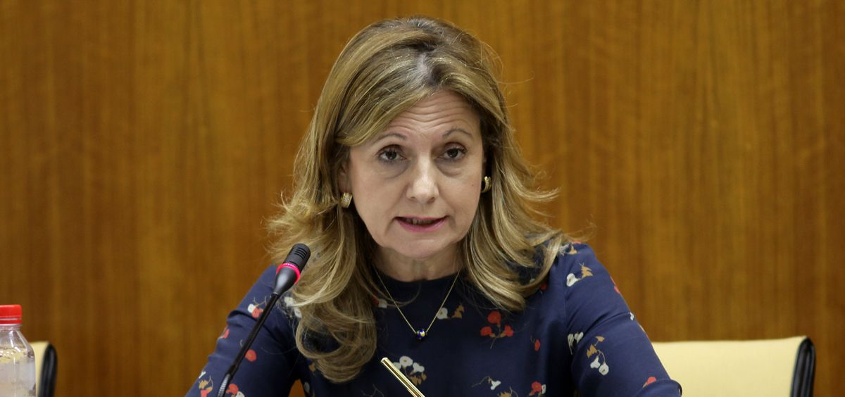 La consejera de Salud de Andalucía, Marina Álvarez, ha lamentado que se esté retrasando la celebración de un pleno monográficos sobre financiación.