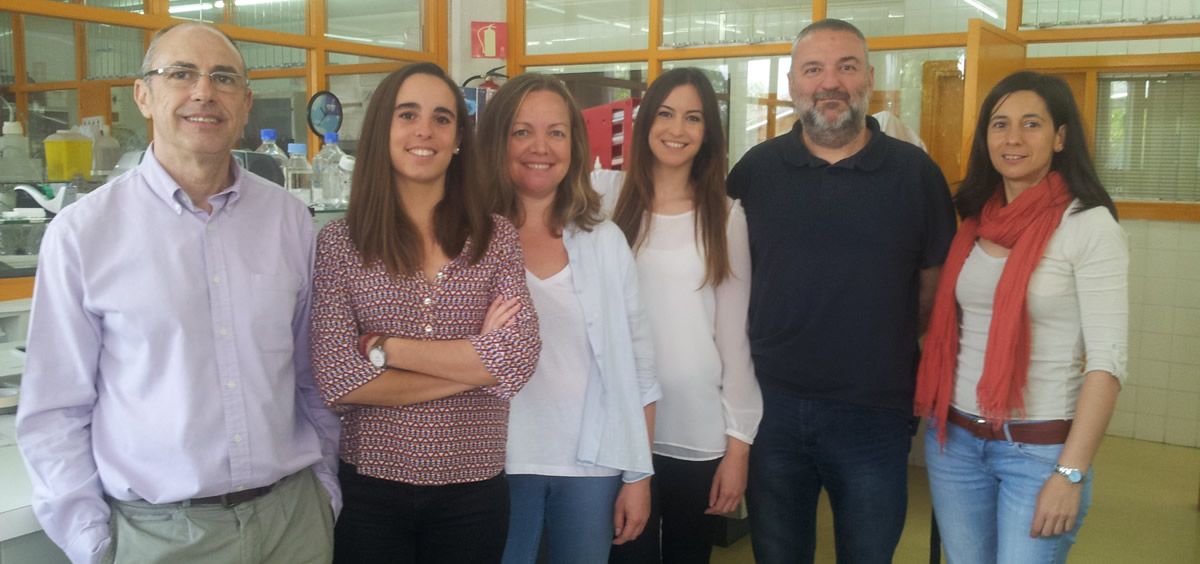 Investigadores de la Universidad del País Vasco y del CIBER de Salud Mental 