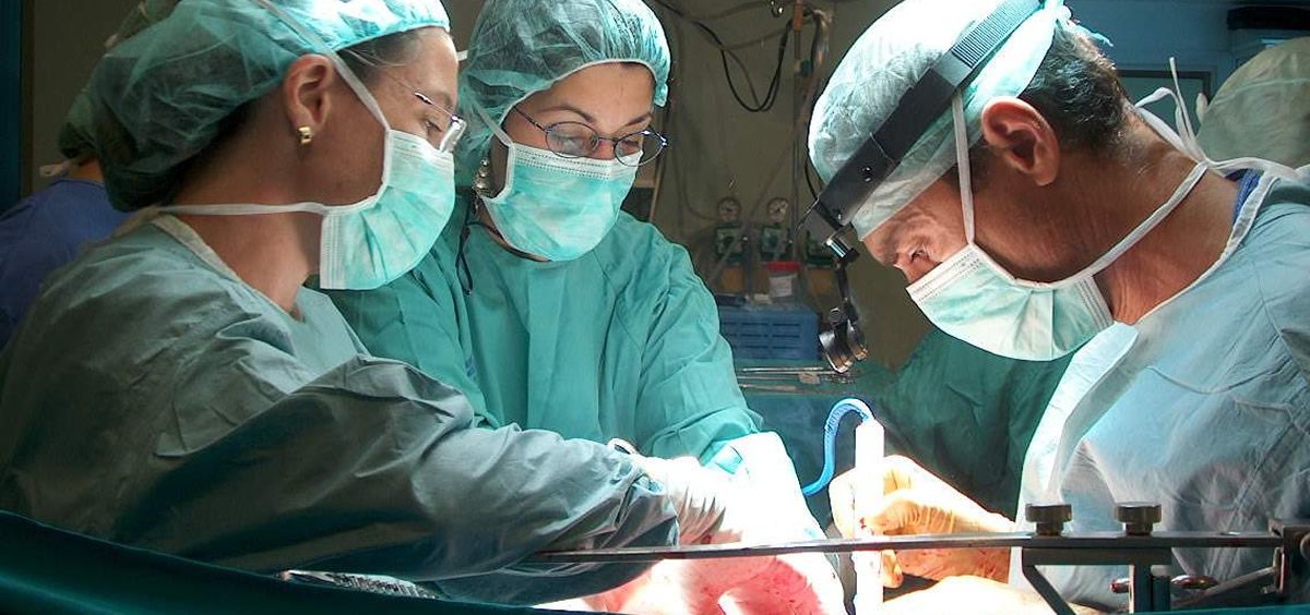 Más de un millón de profesionales se forman en transplantes al año en Andalucía