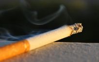 El tabaco es la principal causa de muerte evitable en el mundo (Foto: Pixabay)