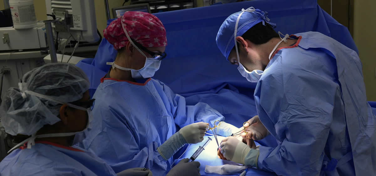 La donación de órganos en España aumenta un 2,1% en los cinco primeros meses del año