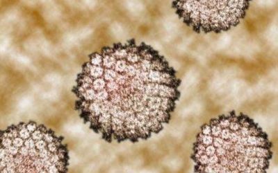 El Virus del Papiloma Humano (VPH), factor prevenible que causa cáncer