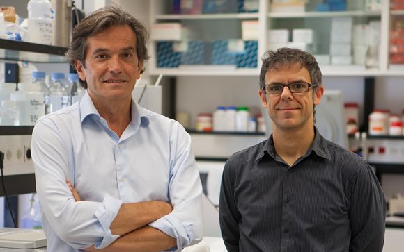 Los doctores José A. Martínez Climent y Eloy Robles, investigadores del CIMA de la Universidad de Navarra