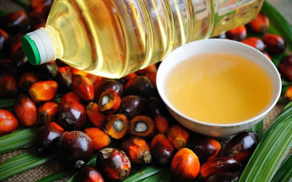 El aceite de palma y la mantequilla, ligados a la aparición de la artrosis