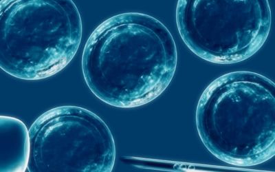 Las células madre podrían ser útiles tras un ictus isquémico