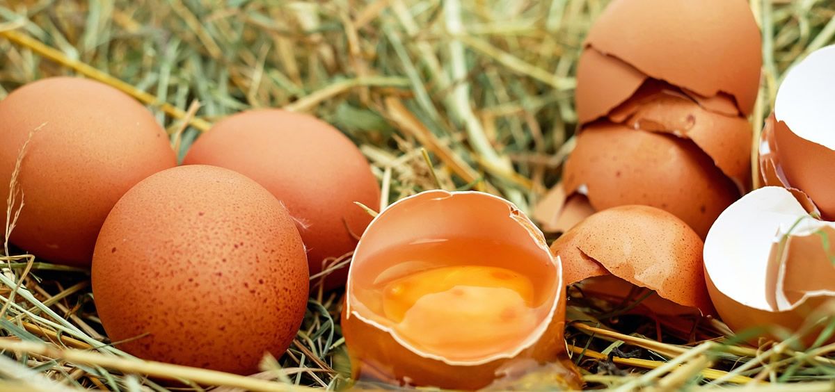 La bacteria que produce la salmonelosis aparece especialmente en el huevo y sus productos derivados