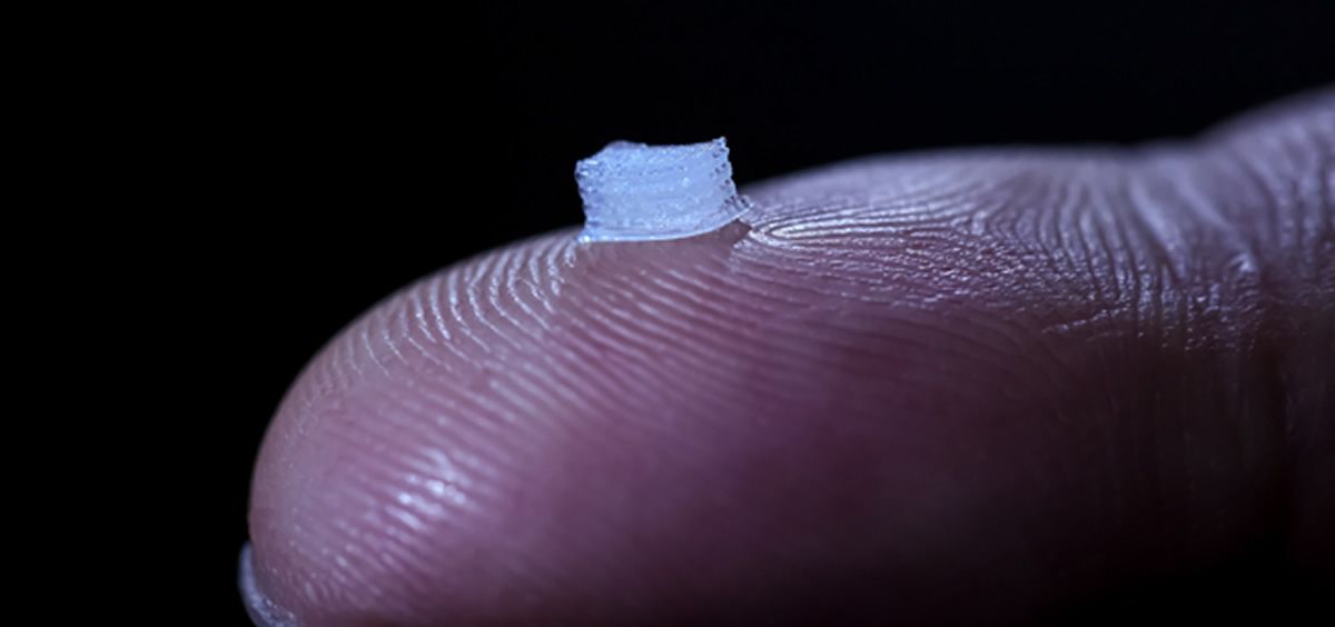 Un pequeño andamio impreso en 3D con células madre de tipo neuronal