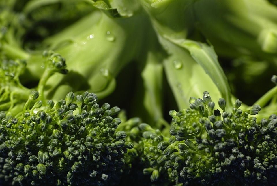 El consumo de brócoli ayuda a prevenir la gota en verano