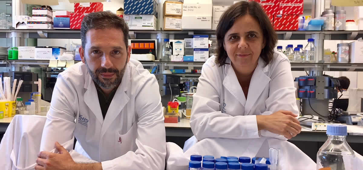 Un trabajo liderado por el investigador doctor Josep Villanueva y la doctora Olga Méndez, primera autora, del Vall d'Hebron