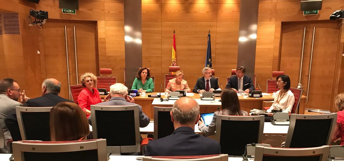 La delegada del Gobierno para el Plan Nacional sobre Drogas, Azucena Martí, ha comparecido en la Comisión Mixta Congreso Senado.