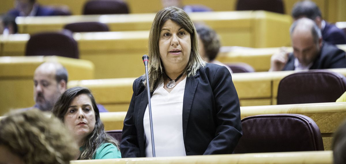 Kontxi Palencia, portavoz de Sanidad de Unidos Podemos en el Senado.