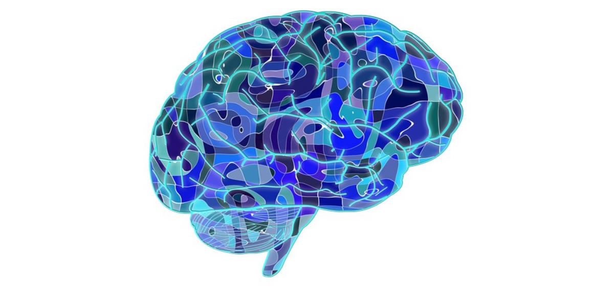 Mejorar su autoconciencia aumenta la calidad de vida de los pacientes con daño cerebral adquirido