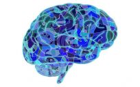 Mejorar su autoconciencia aumenta la calidad de vida de los pacientes con daño cerebral adquirido