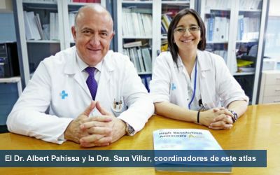 El HUVH publica el primer atlas en línea para diagnosticar las lesiones previas al cáncer anal