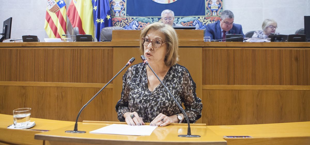 La consejera de Sanidad de Aragón, Pilar Ventura