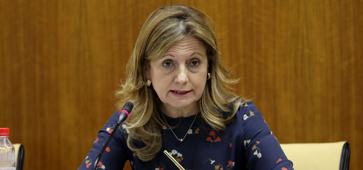 Marina Álvarez, consejera de Salud de la Junta de Andalucía.