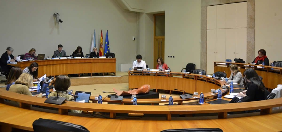 Imagen de una de las comisiones sectoriales de sanidad, política social y empleo celebrada en el Parlamento de Galicia.