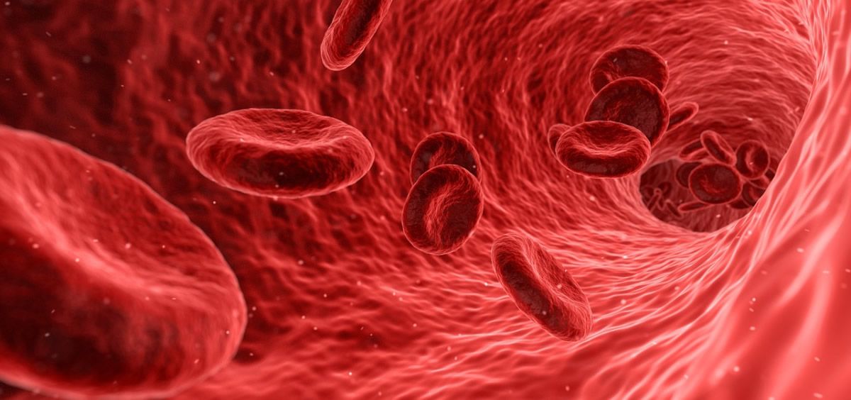 Medisieve es una nueva tecnologia que puede eliminar enfermedades de la sangre mediante imanes