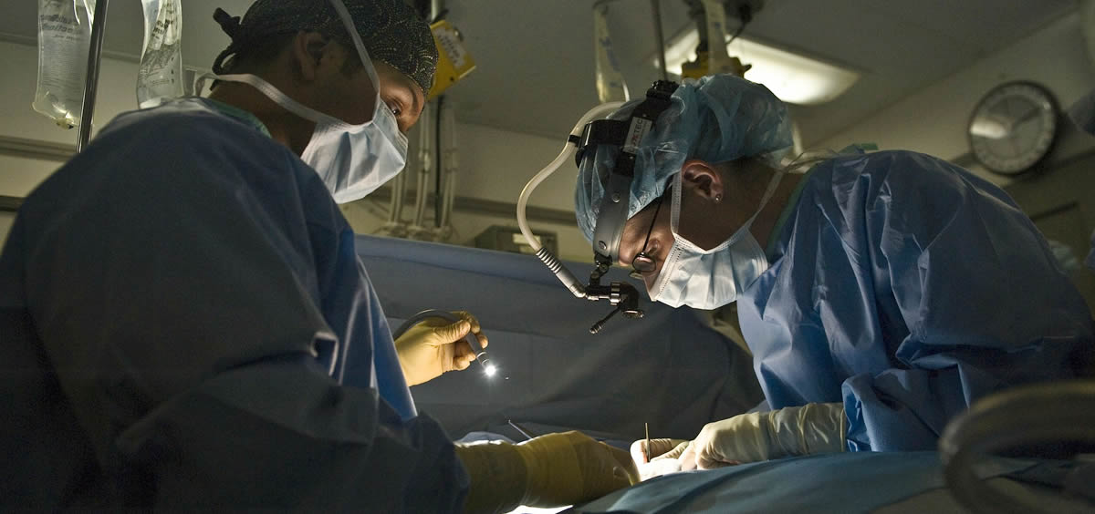 Los trasplantes de órganos sólidos se han fijado en las 5.318 intervenciones exitosas en 2018