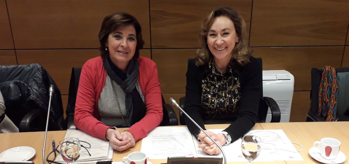 María Martín, consejera de Salud de La Rioja, durante el encuentro de ayer con Carcedo