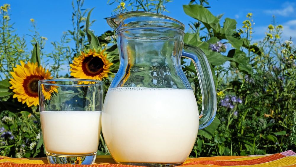 Los lácteos pueden ayudar a un envejecimiento saludable