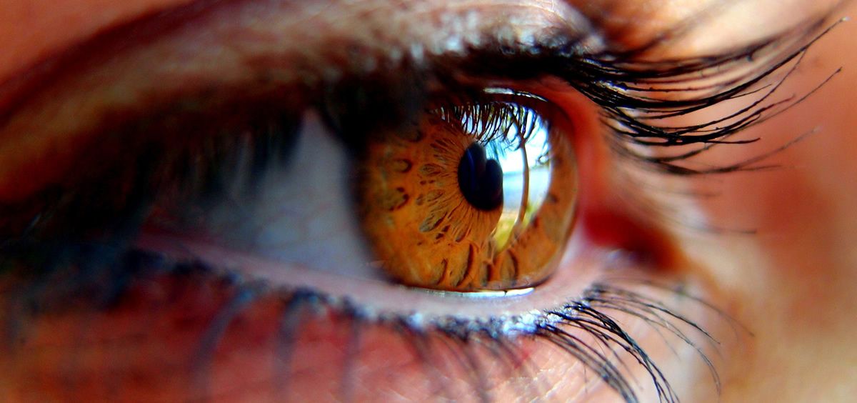 El principal síntoma del glaucoma es la pérdida progresiva de la visión