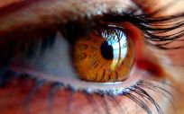El principal síntoma del glaucoma es la pérdida progresiva de la visión