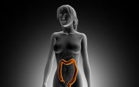 Los cambios que experimenta la microbiota intestinal dependen de los hábitos de alimentación