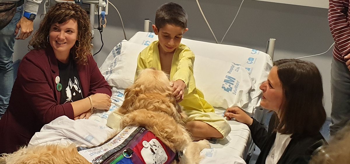 El pequeño Adrián y el perro Zenit, en una habitación del Hospital Universitario 12 de Octubre
