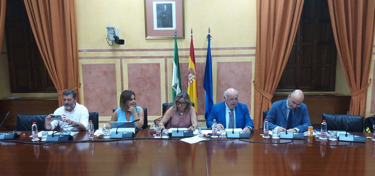 Jesús Aguirre, consejero de Salud de la Junta de Andalucía, presentando los presupuestos en la Comisión de Salud.